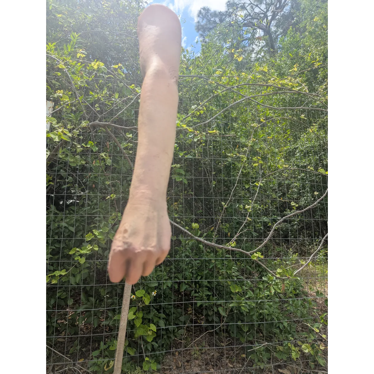 Female full arms single or pair