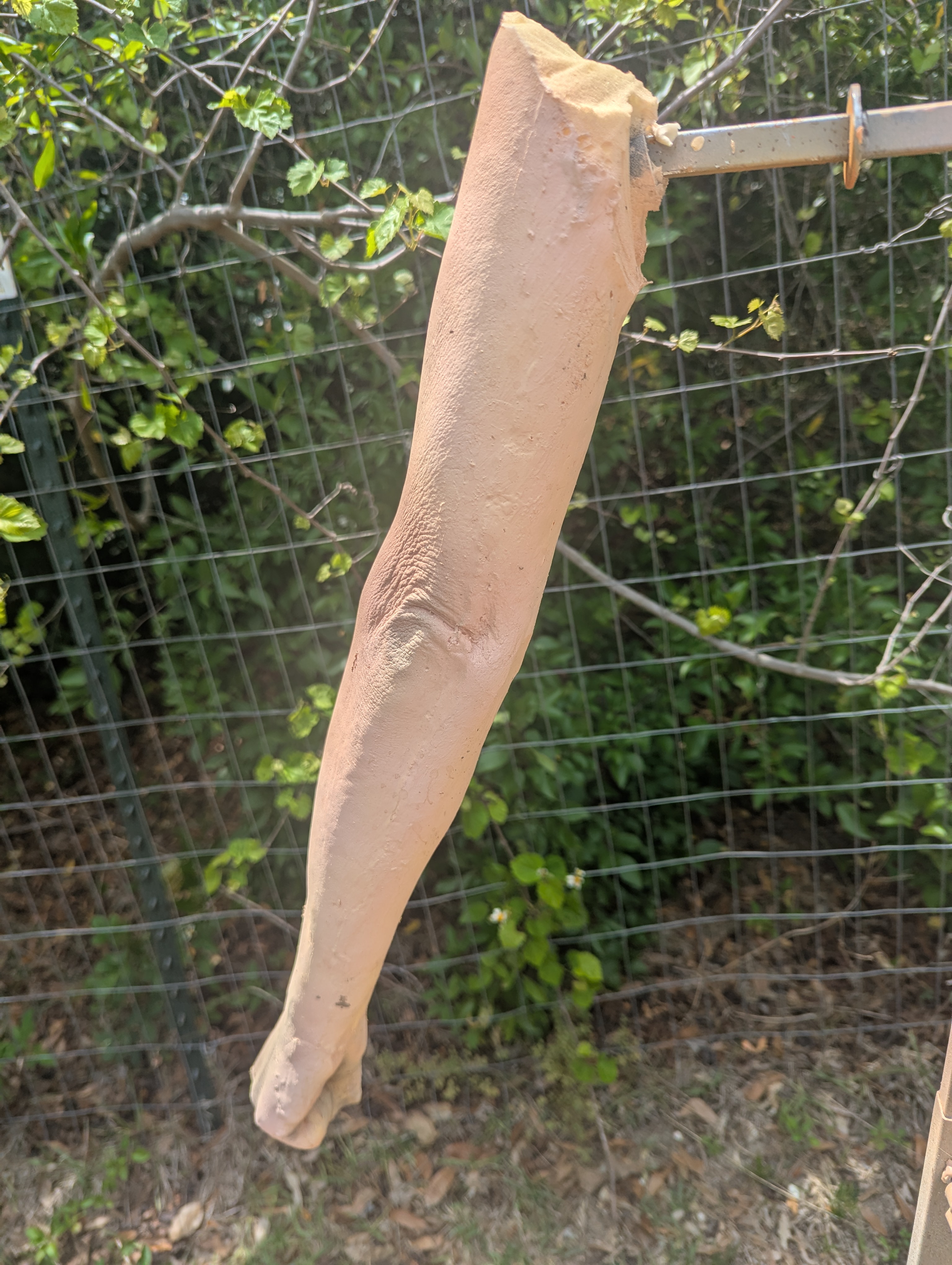 Female full arms single or pair