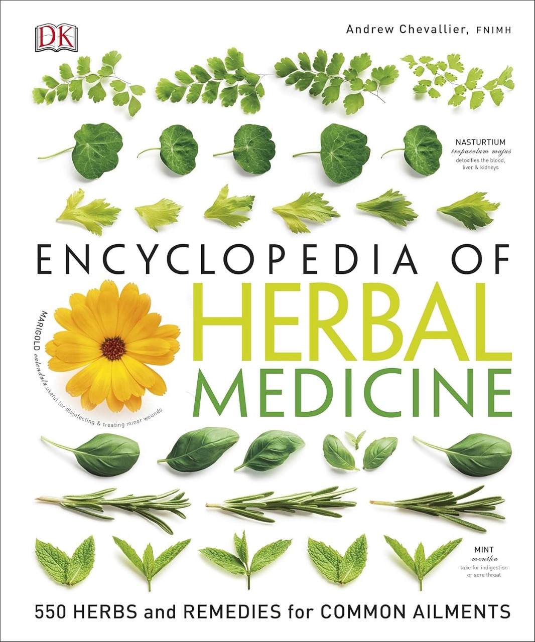10 herbal