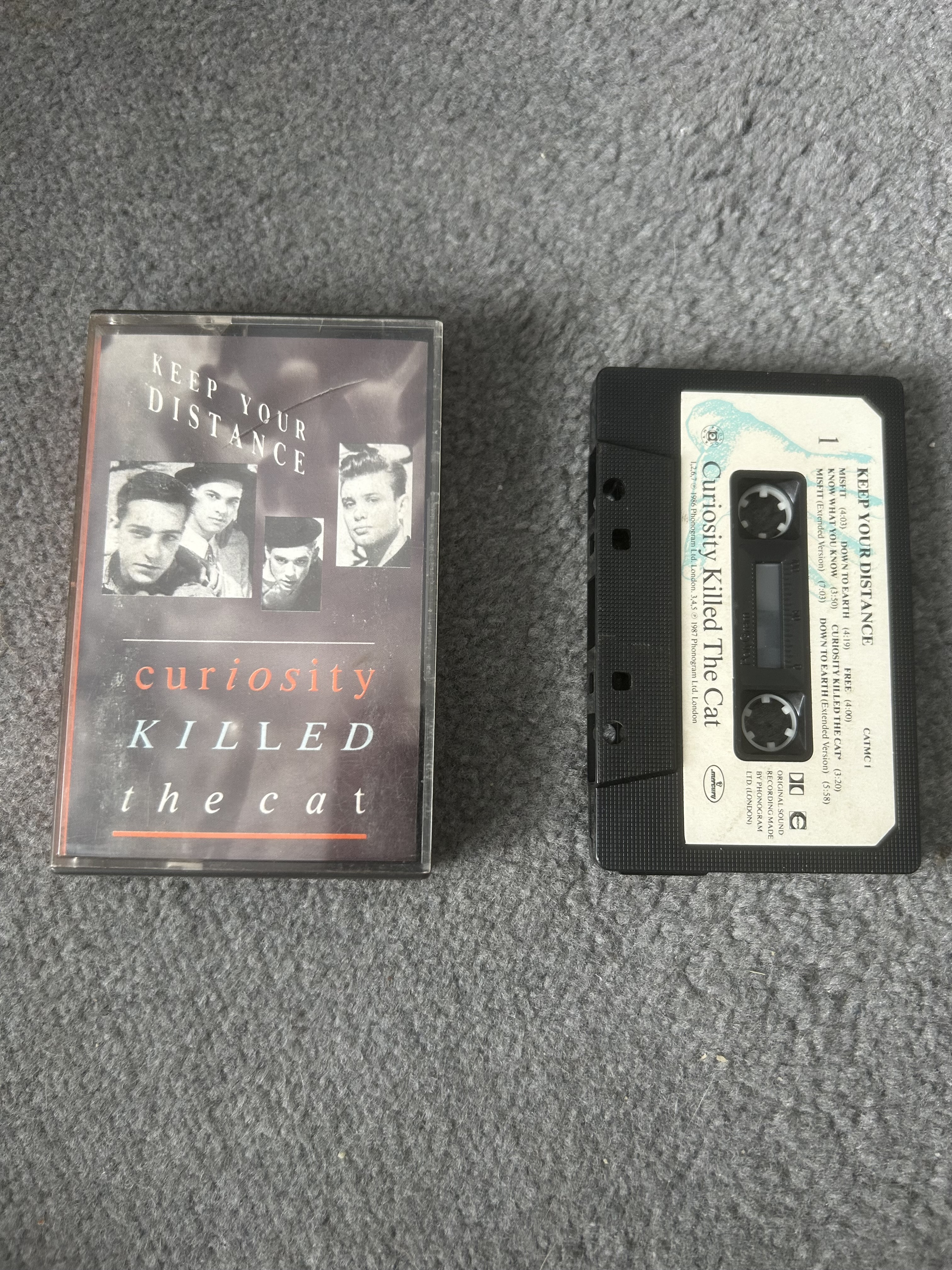 Curiosity Killed The Cat