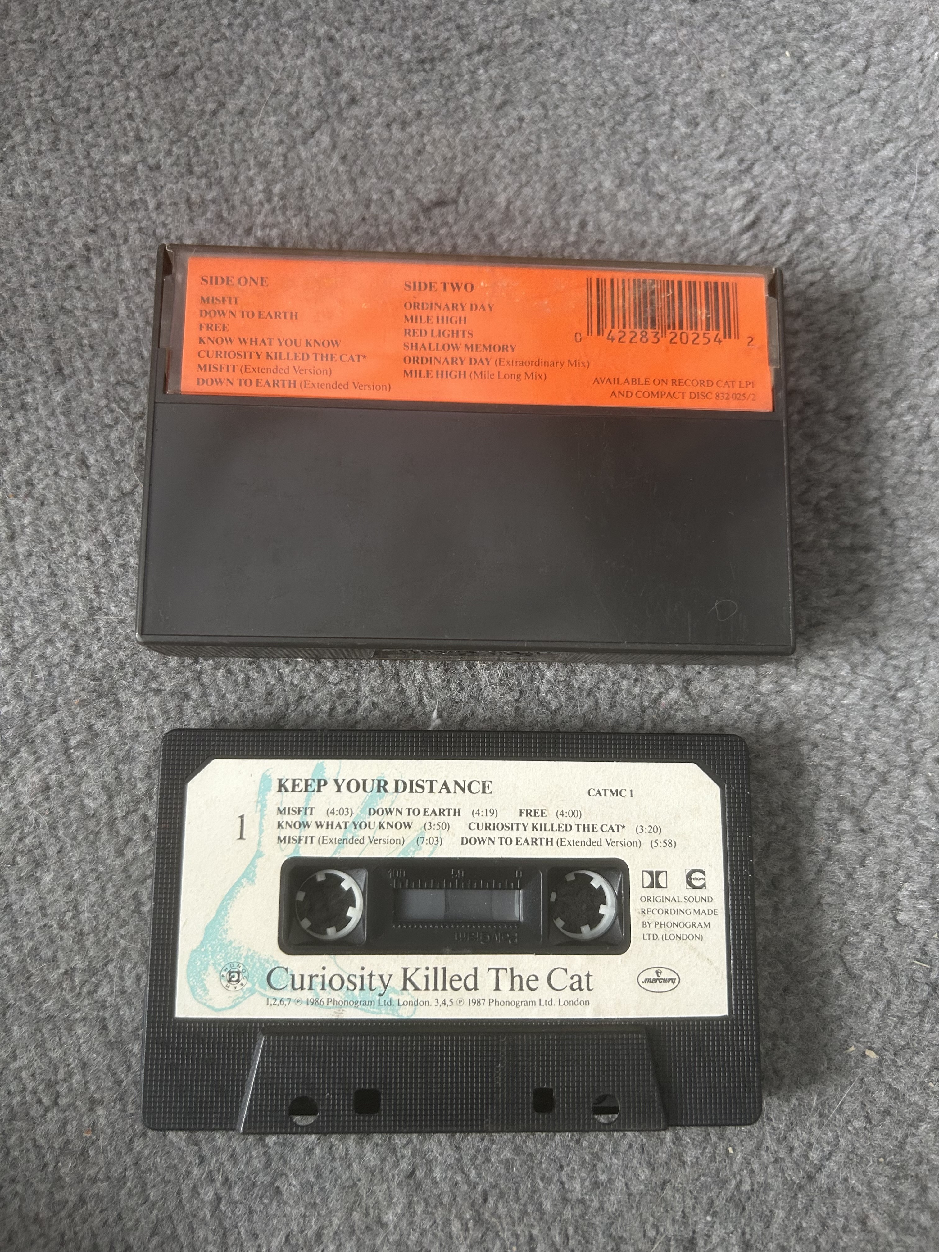 Curiosity Killed The Cat