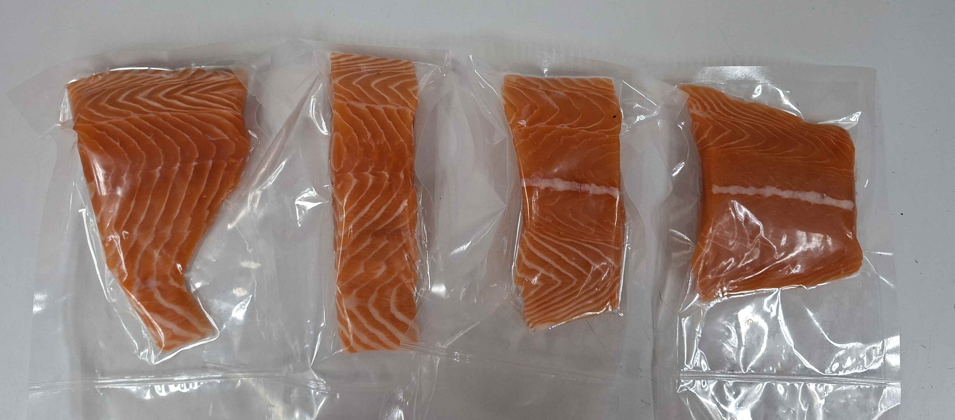 Salmon comes in all shapes and sizes