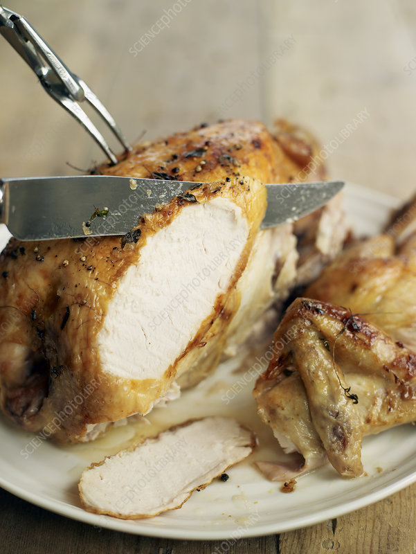 How Long Does Cooked Chicken Last in the Fridge?