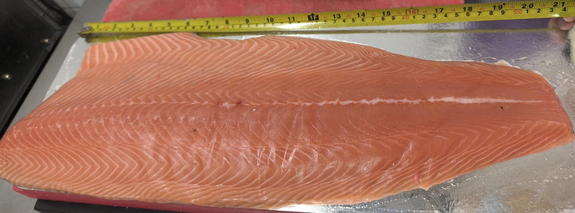 Salmon fillet