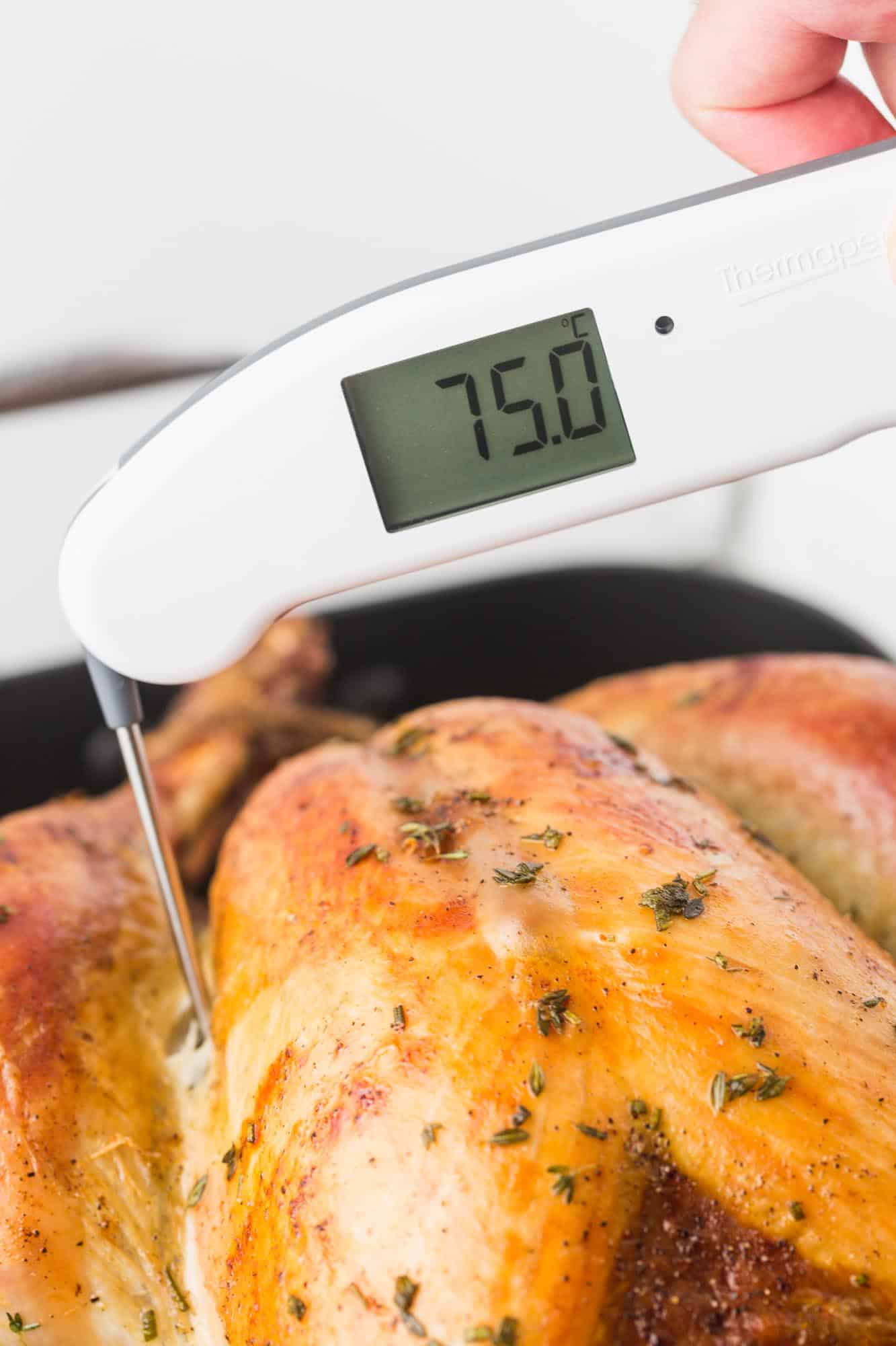Checking chicken internal temperature with thermometer
