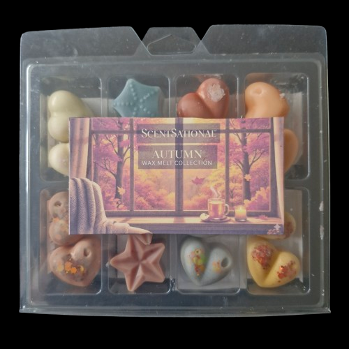 Autumn Scent Wax Melts