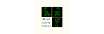 GREEN BEAUTY PHARMA