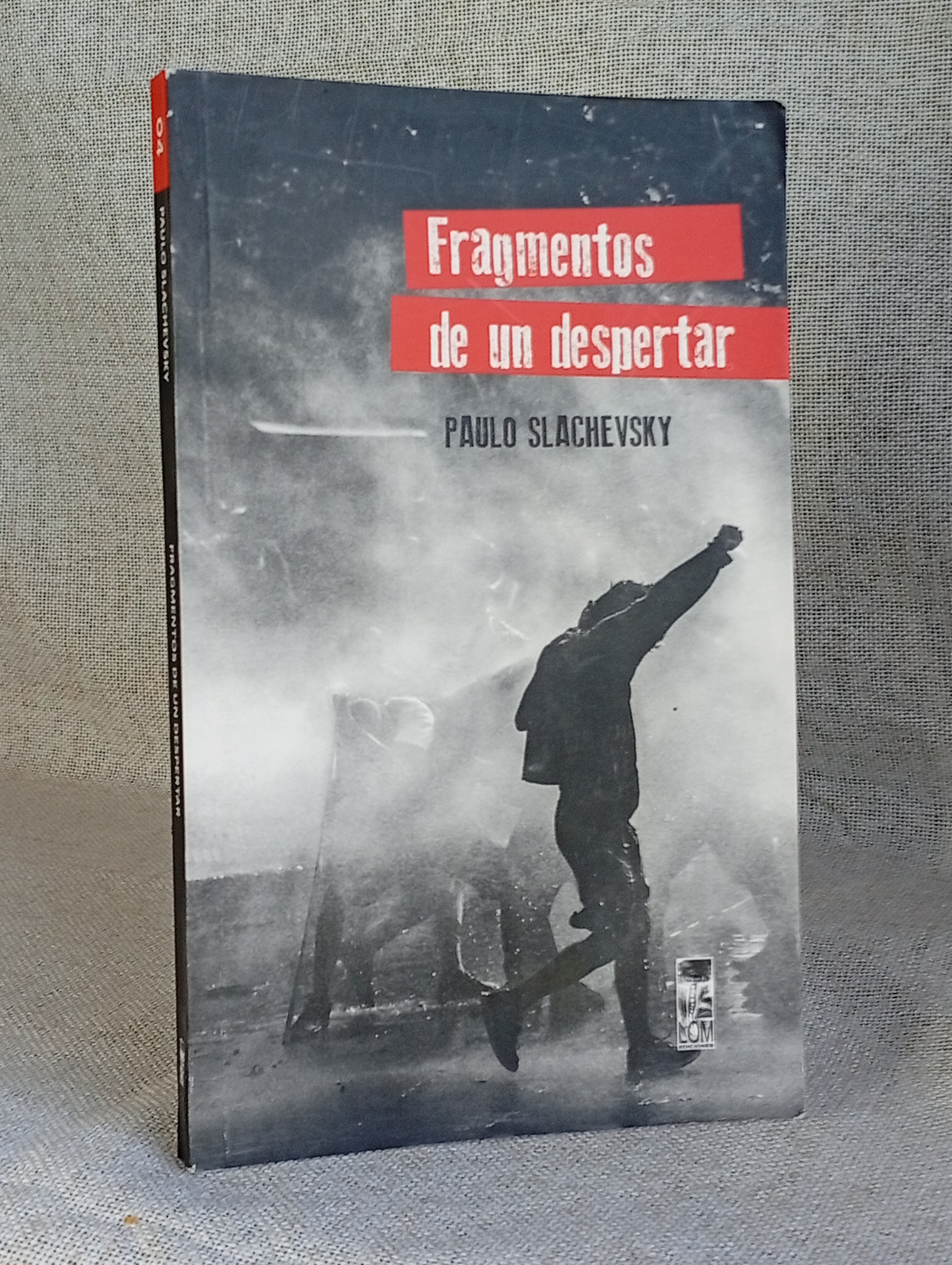 Fragmentos de un despertar