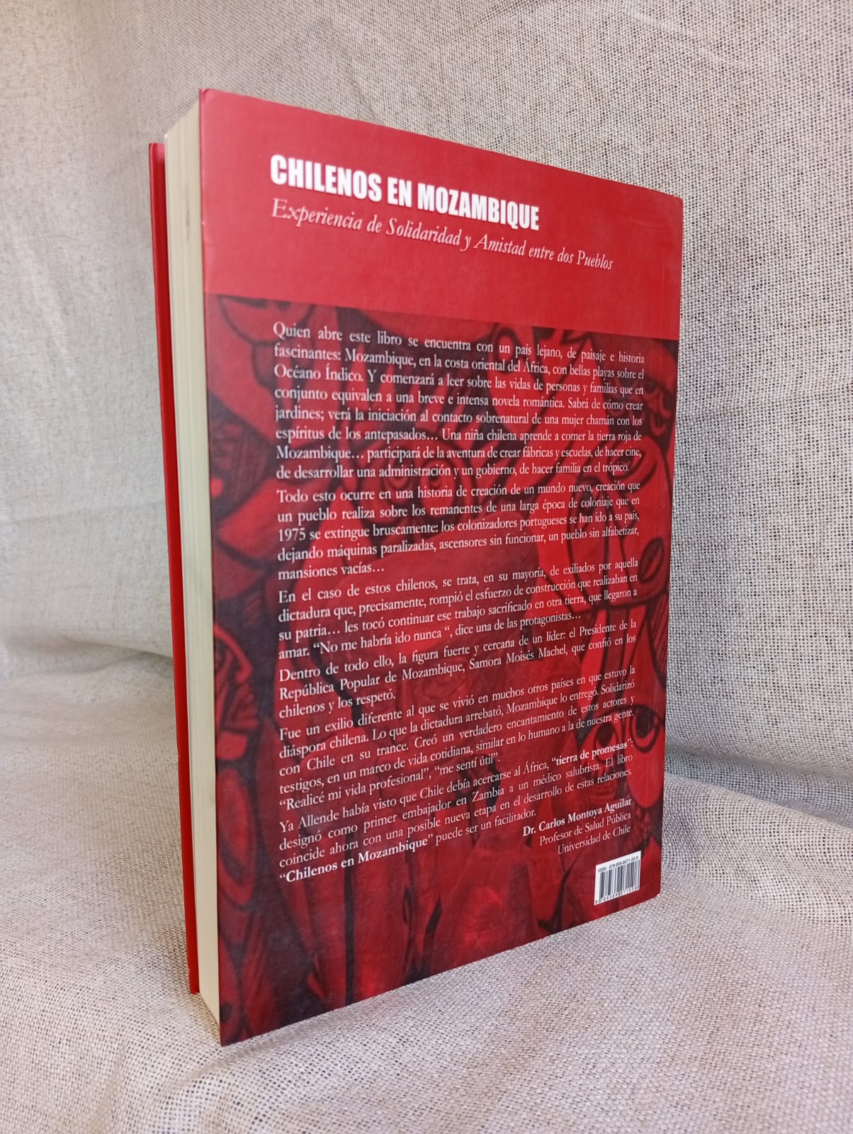 Chilenos en Mozambique