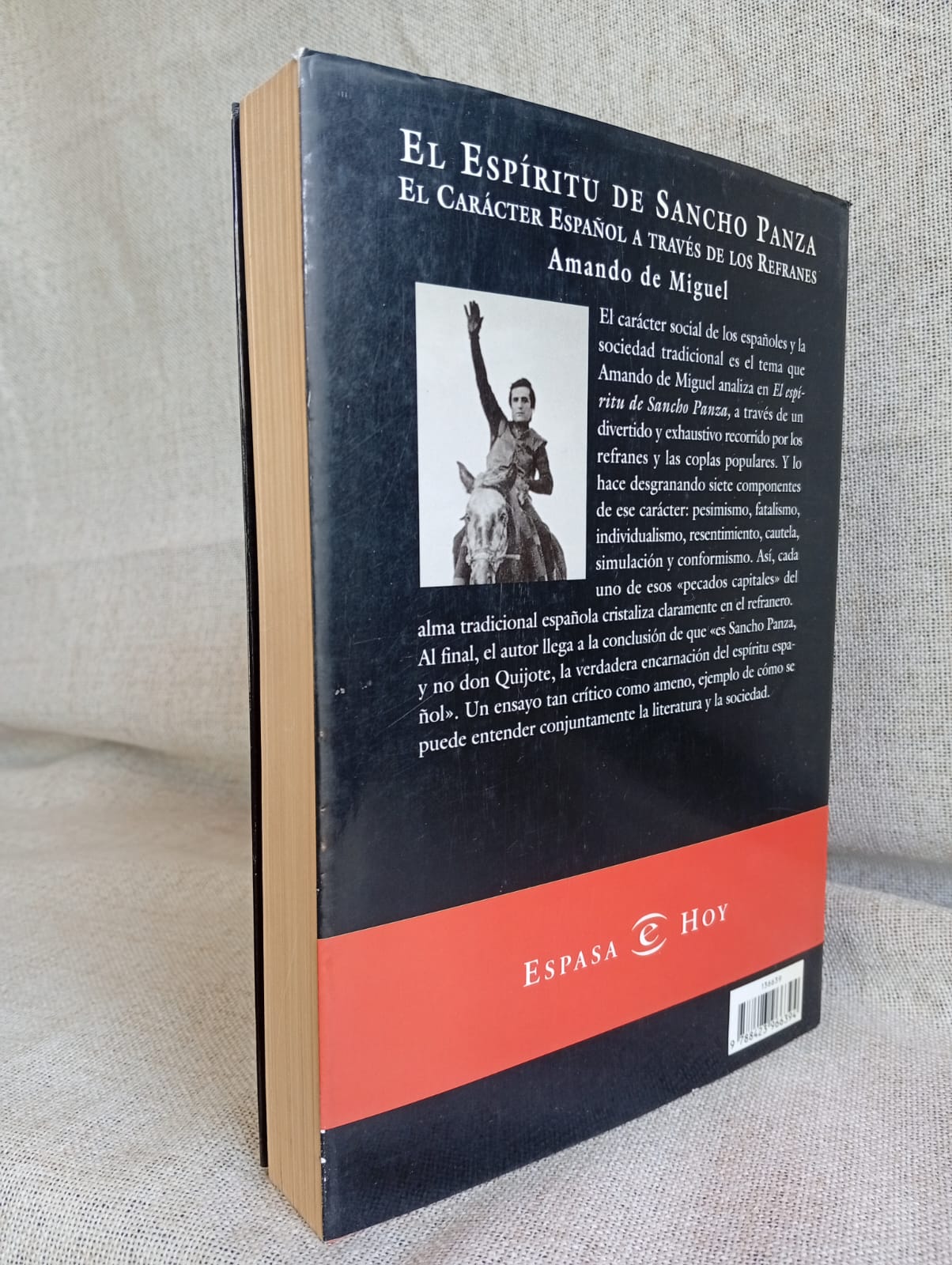 El Espíritu de Sancho Panza