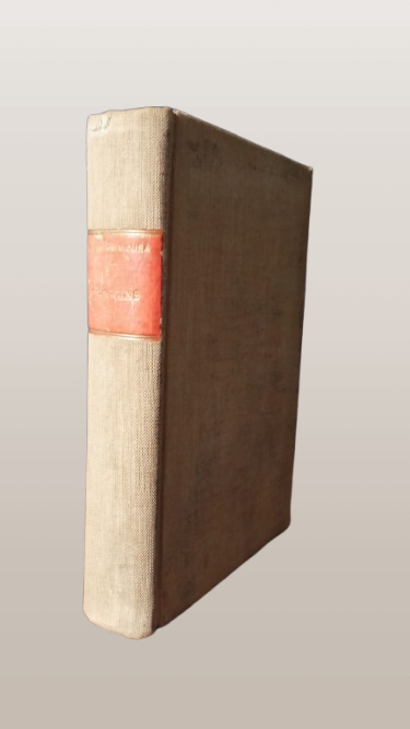 O´Higgins Vida y Tiempo