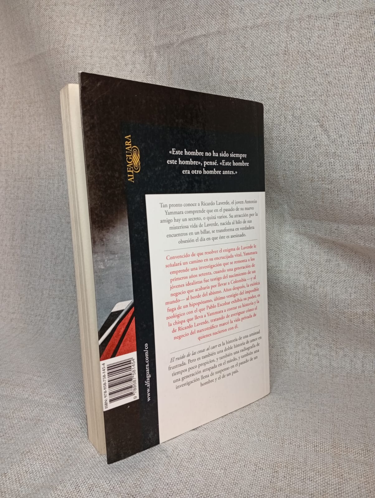 El ruido de las cosas al caer