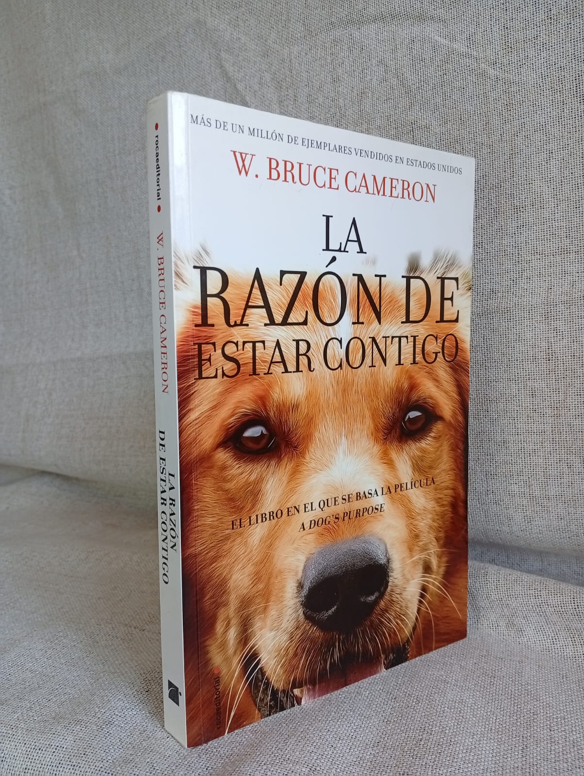 La Razón de estar contigo