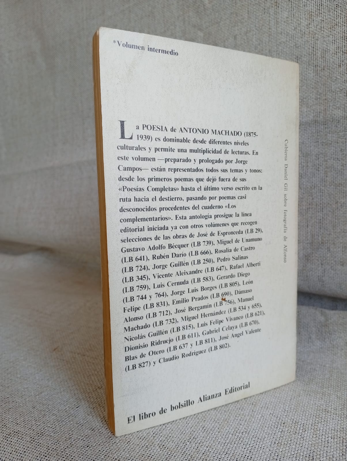 Doce un año para entender el amor