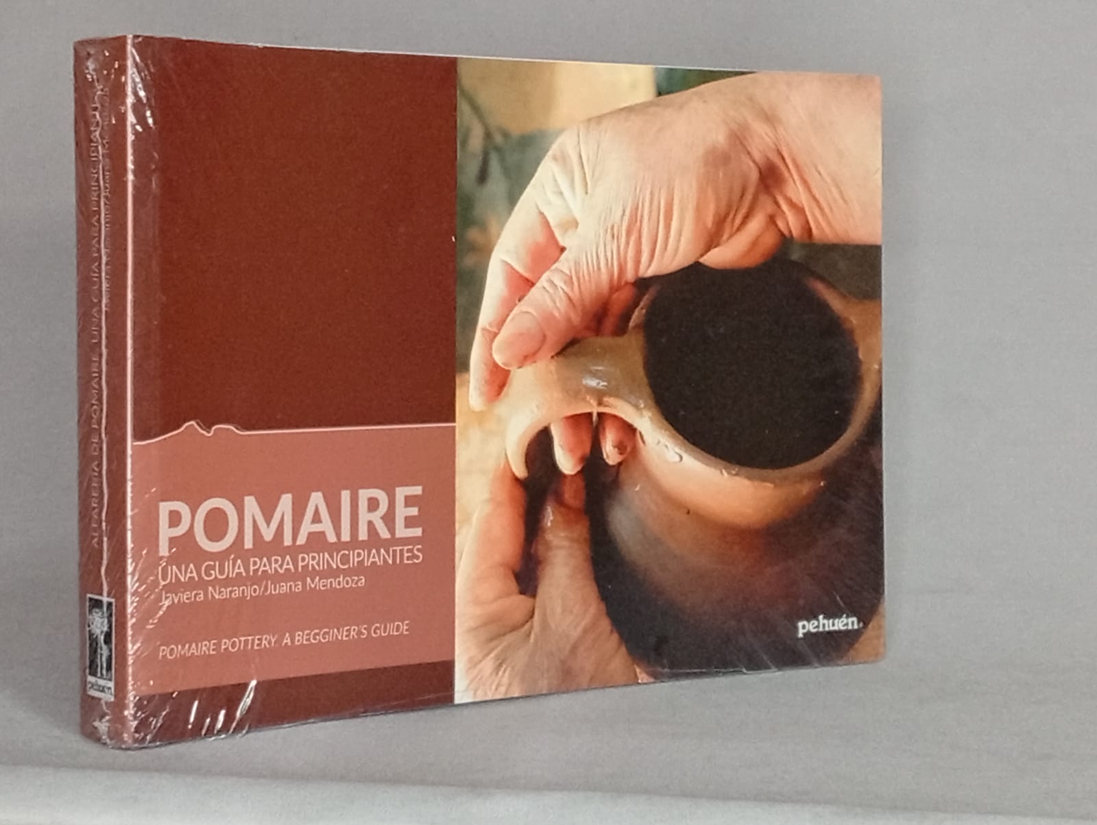 Pomaire: Una guía para principiantes
