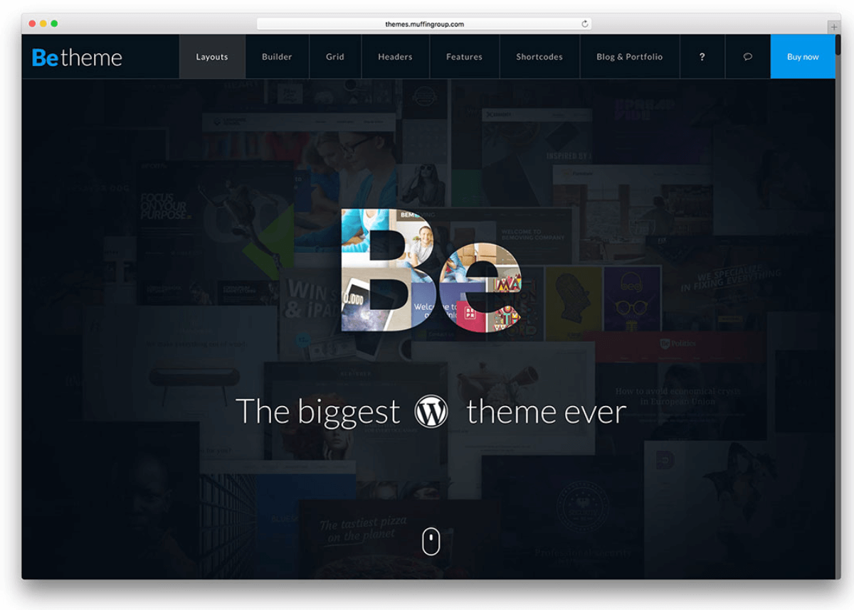 BeTheme WordPress