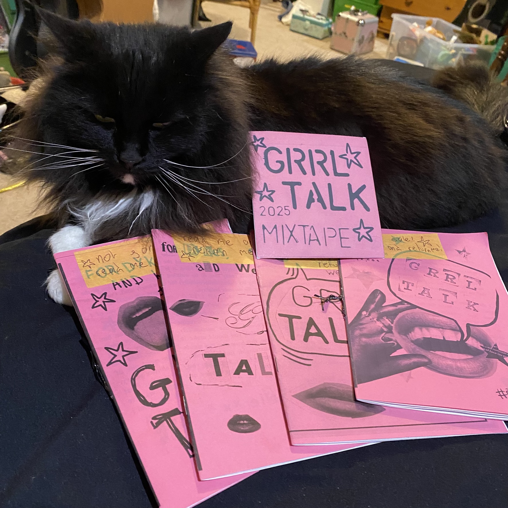 grrl talk zine - all SEVEN!!