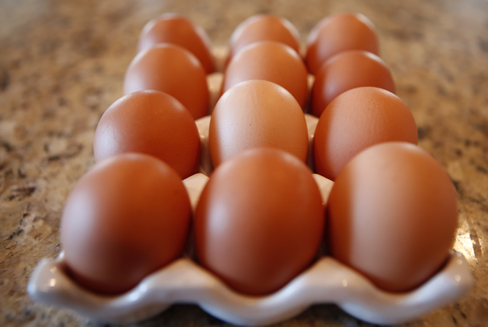 Rhode Island Red Eggs Preorder