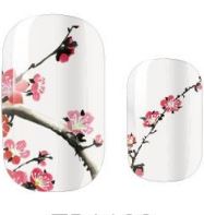 Cherry Blossom Dreams