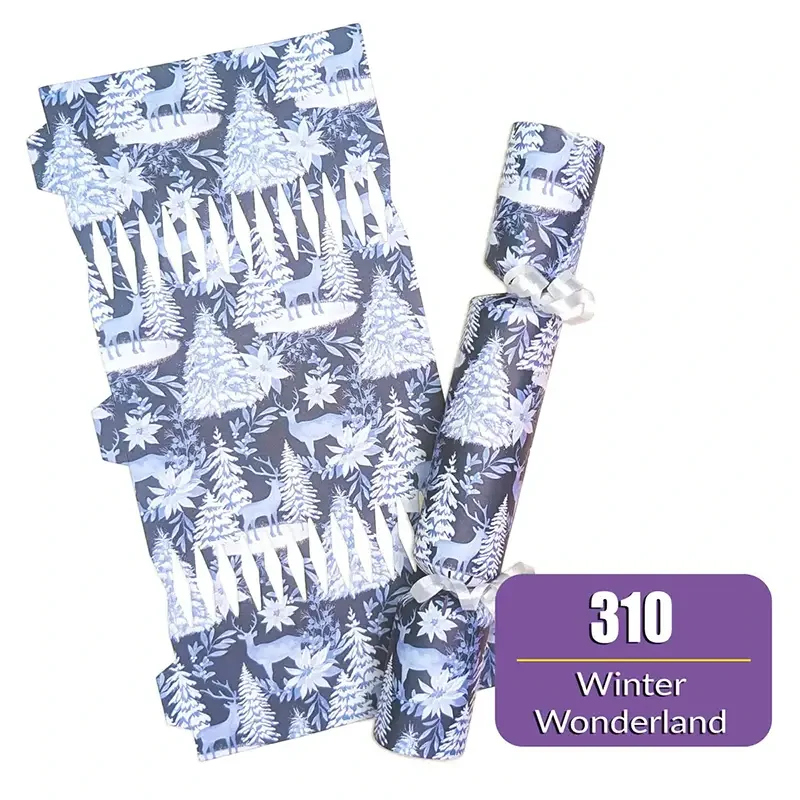 Winter Wonderland - DIY Cracker Kit - Set of 6