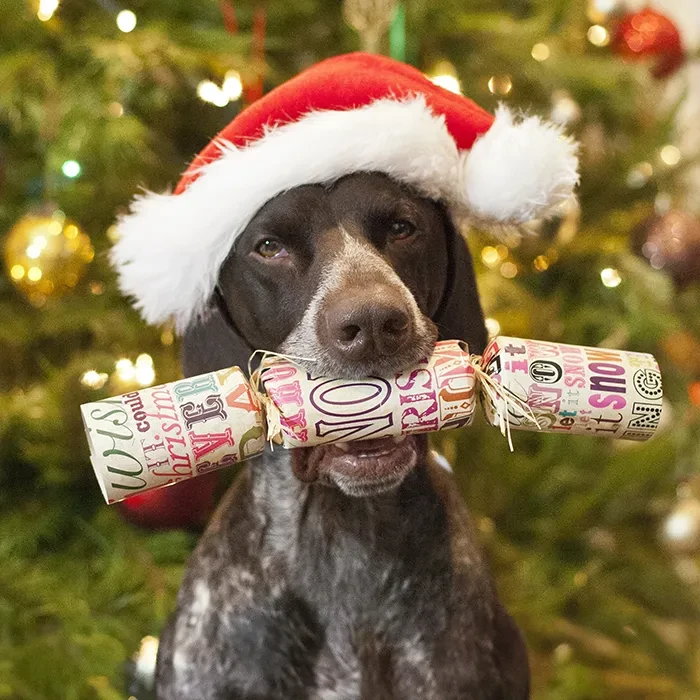 Wood Block Turtle Doves - DIY Cracker Kit - Set of 6