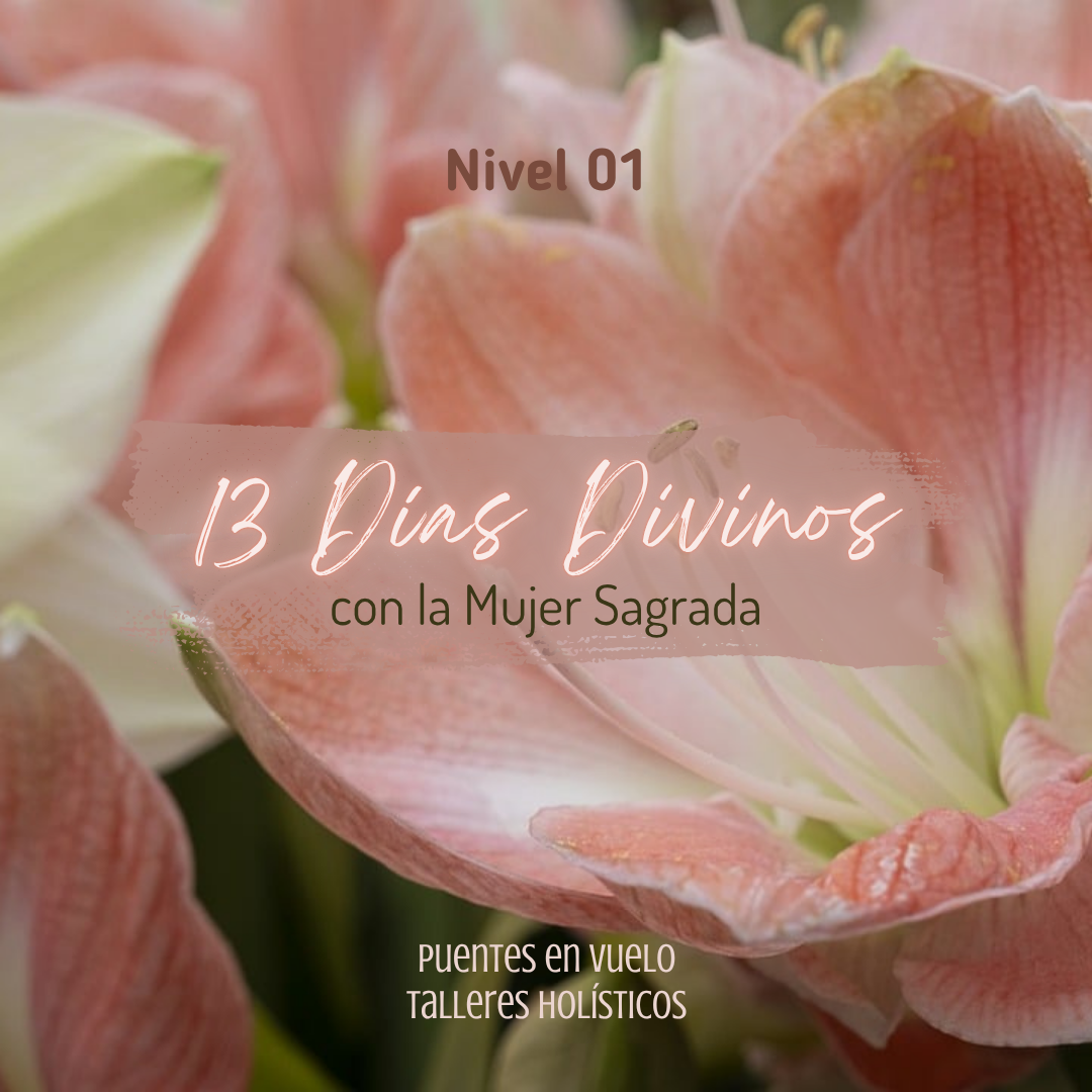 Taller 13 Días Divinos - Nivel 01