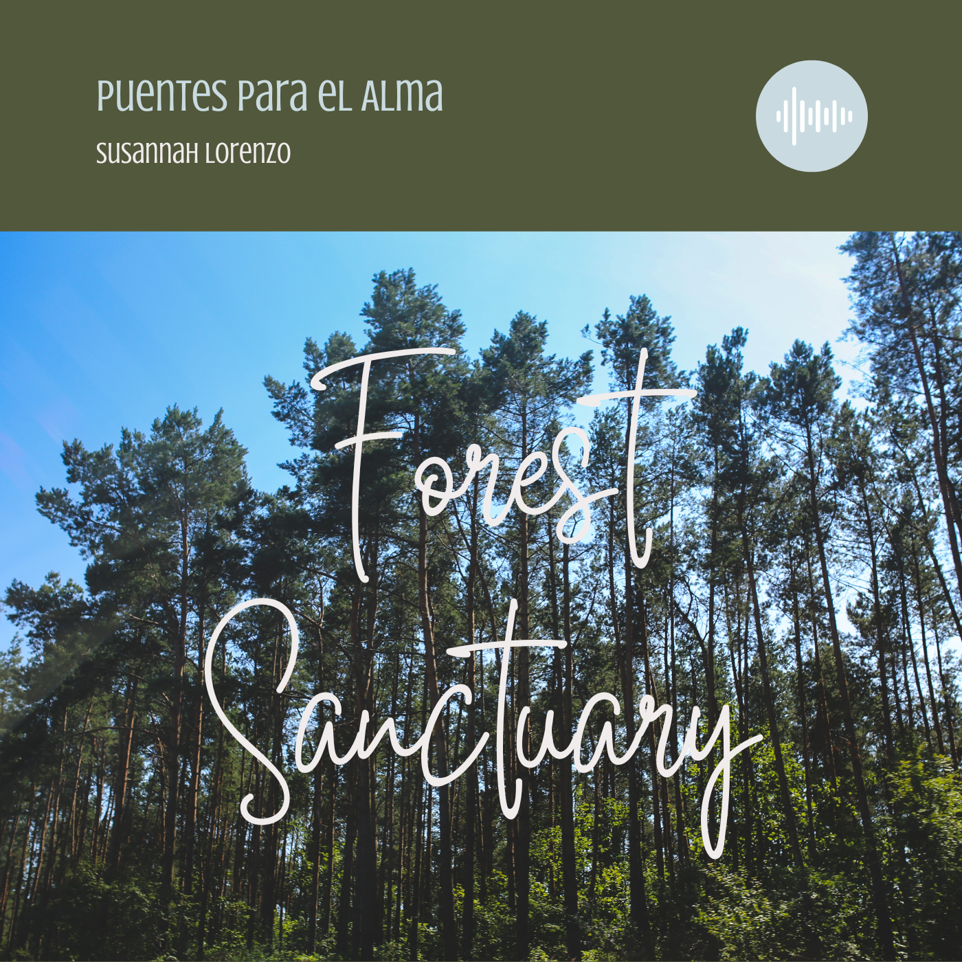 Puentes para el Alma - Bridges for the Soul