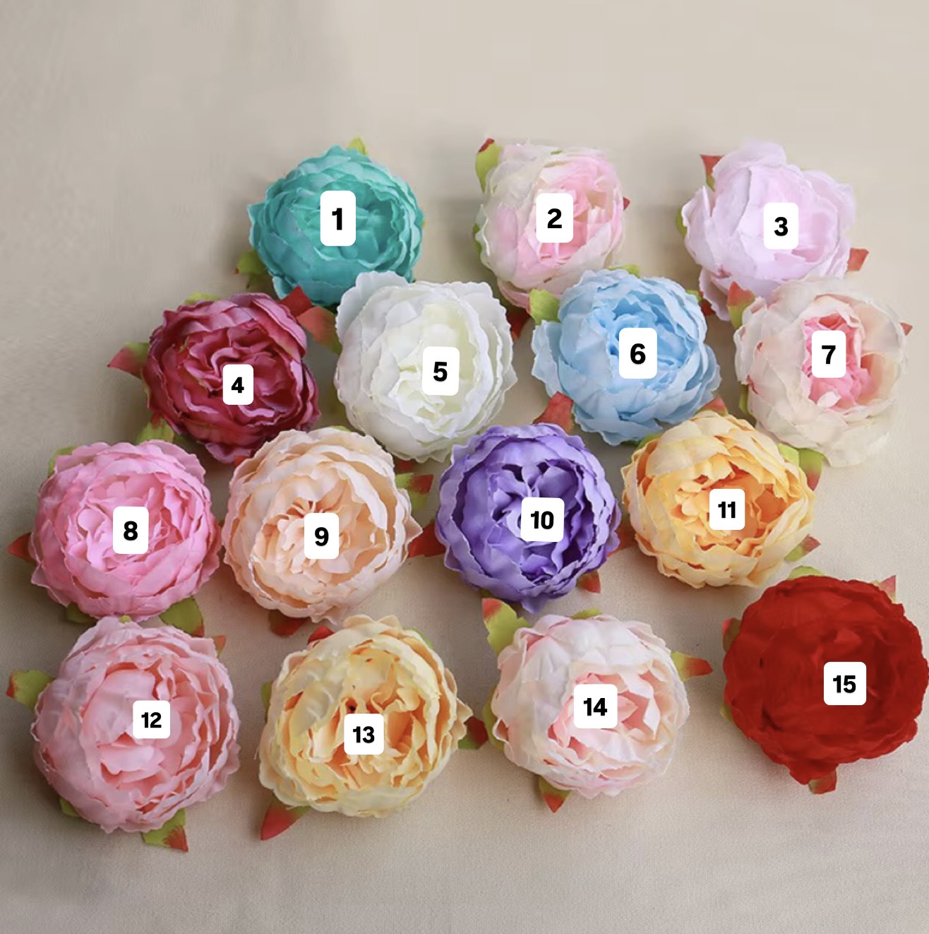PEONY HEAD