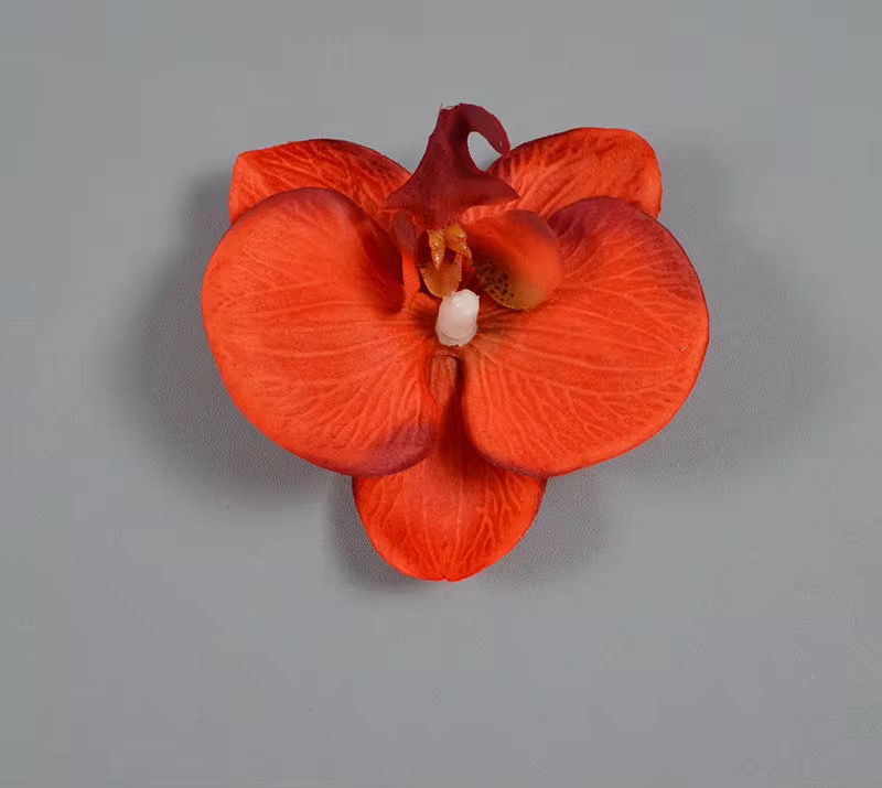 SINGLE ORCHID FLOWER