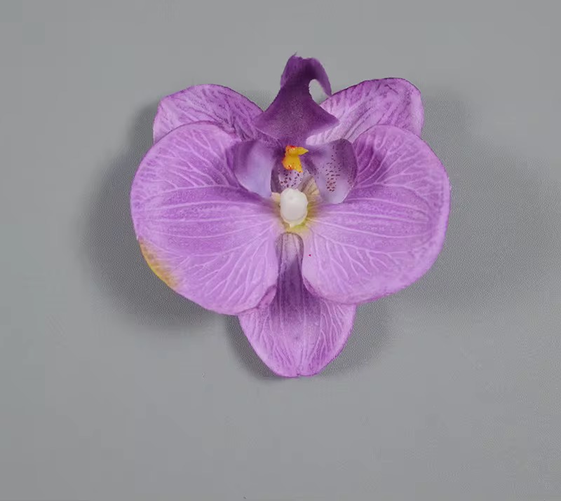 SINGLE ORCHID FLOWER