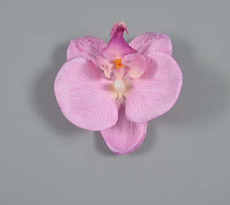 SINGLE ORCHID FLOWER