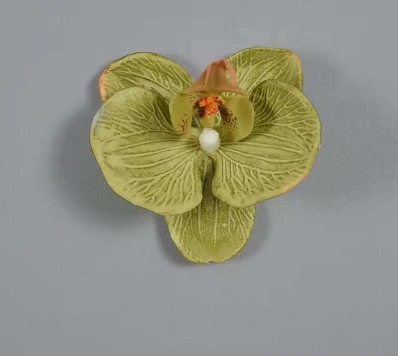 SINGLE ORCHID FLOWER