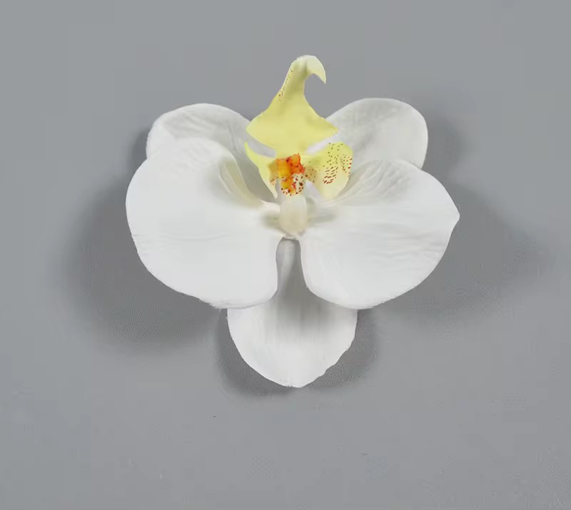 SINGLE ORCHID FLOWER