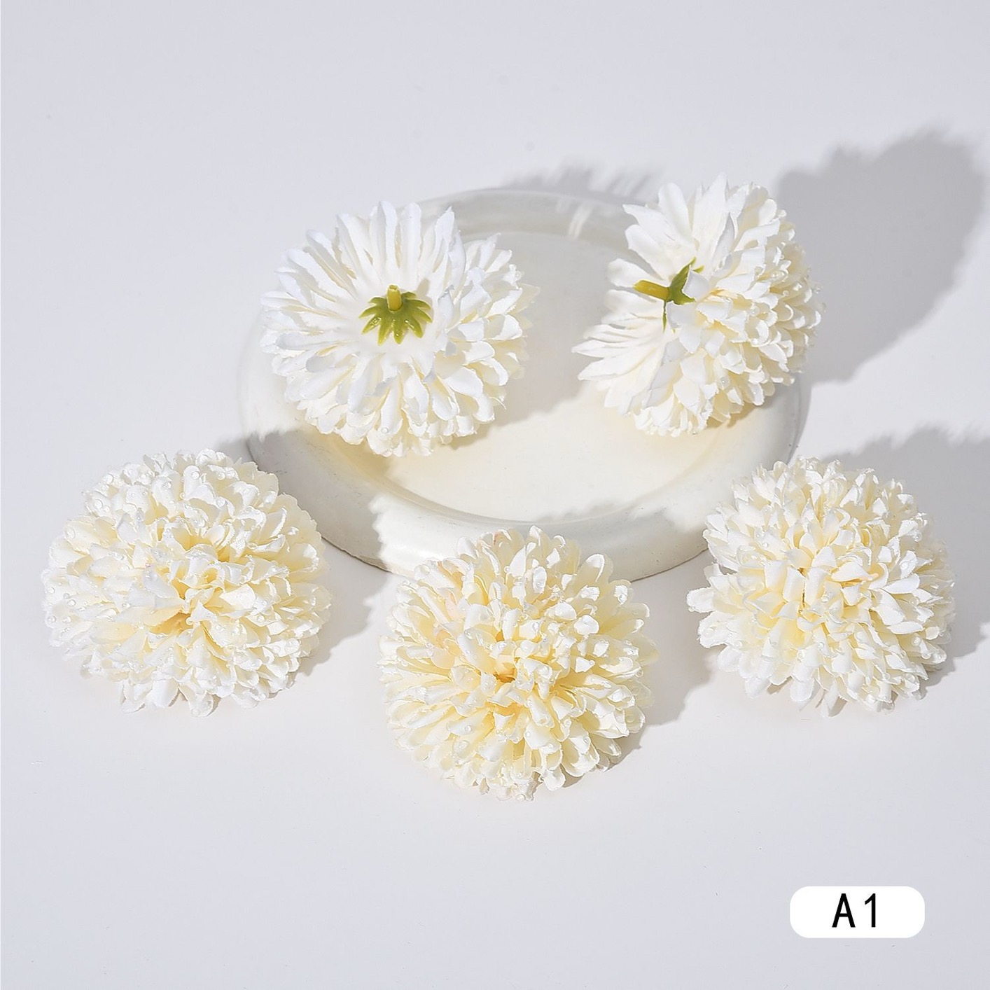 DEWDROP CHRYSANTHEMUM FLOWER