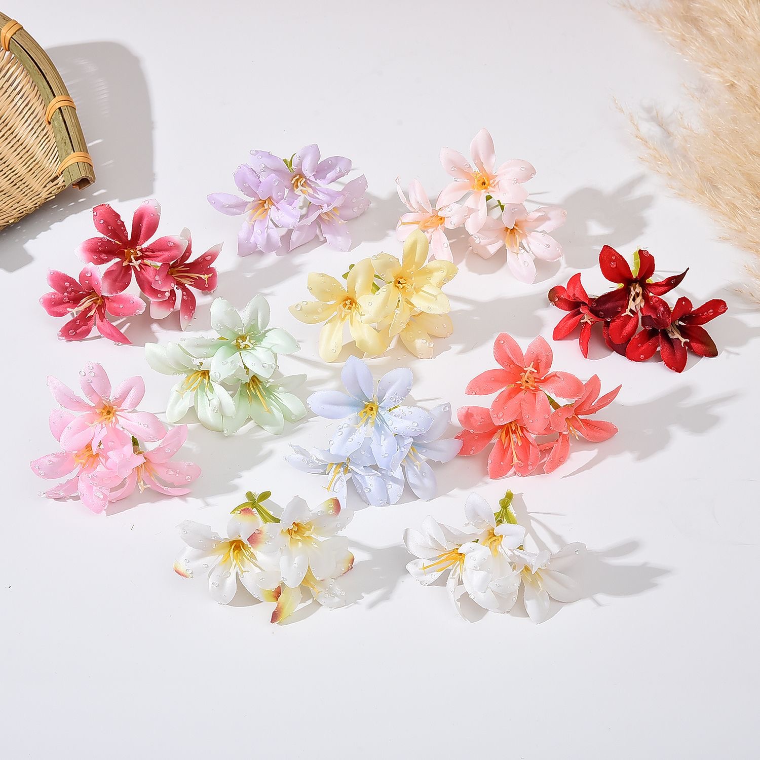 DEWDROP LILY FLOWER STEM