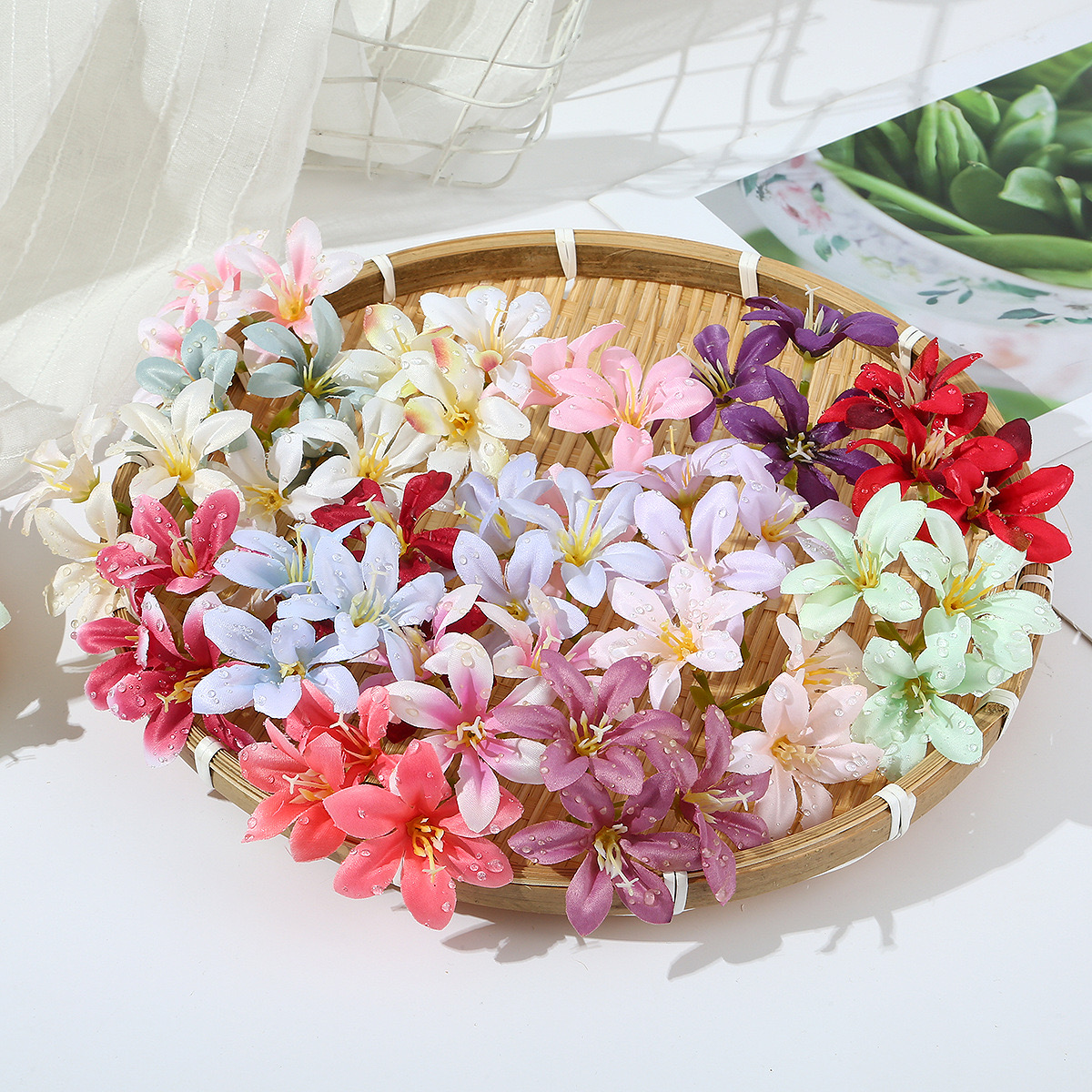 DEWDROP LILY FLOWER STEM