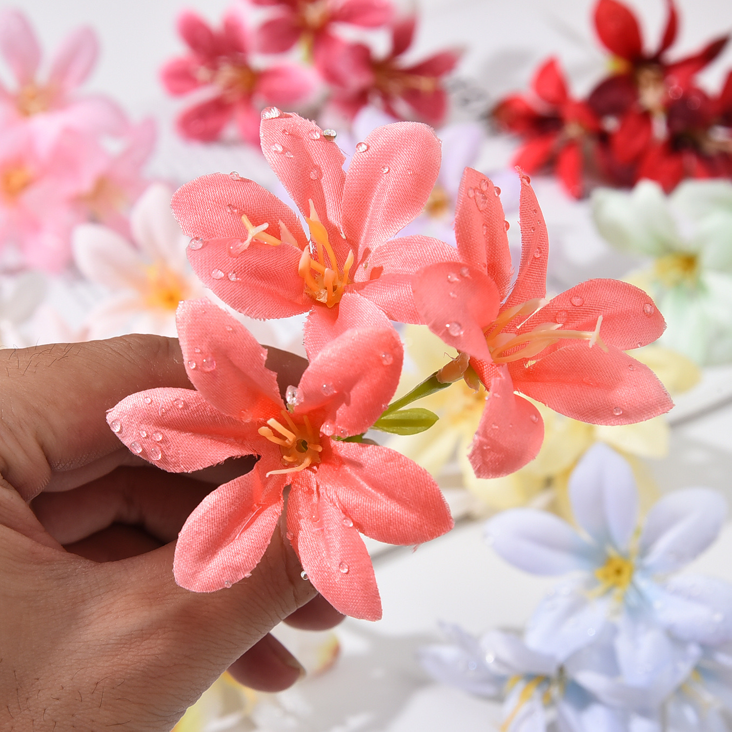 DEWDROP LILY FLOWER STEM