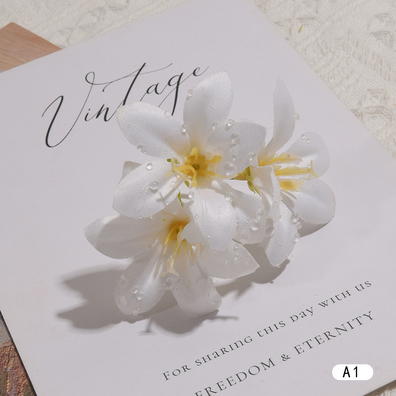 DEWDROP LILY FLOWER STEM