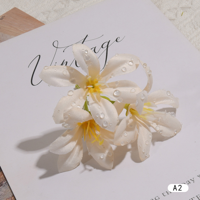 DEWDROP LILY FLOWER STEM