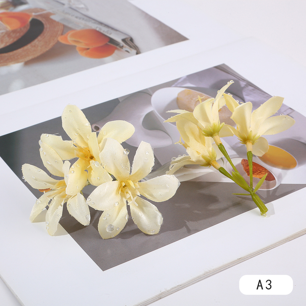 DEWDROP LILY FLOWER STEM