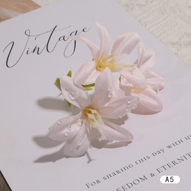 DEWDROP LILY FLOWER STEM