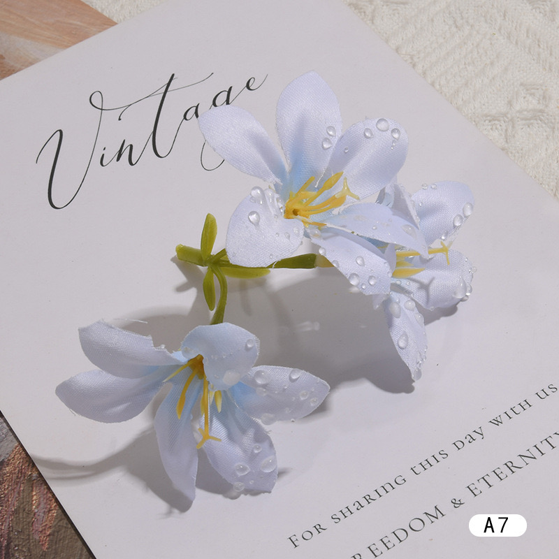 DEWDROP LILY FLOWER STEM