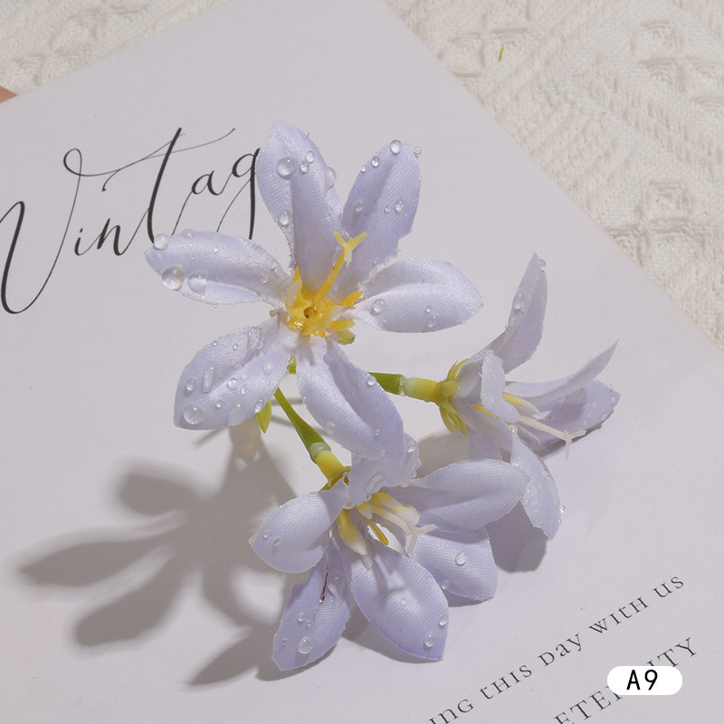 DEWDROP LILY FLOWER STEM