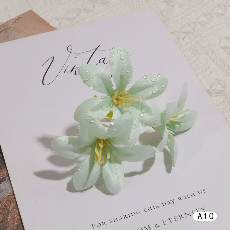 DEWDROP LILY FLOWER STEM