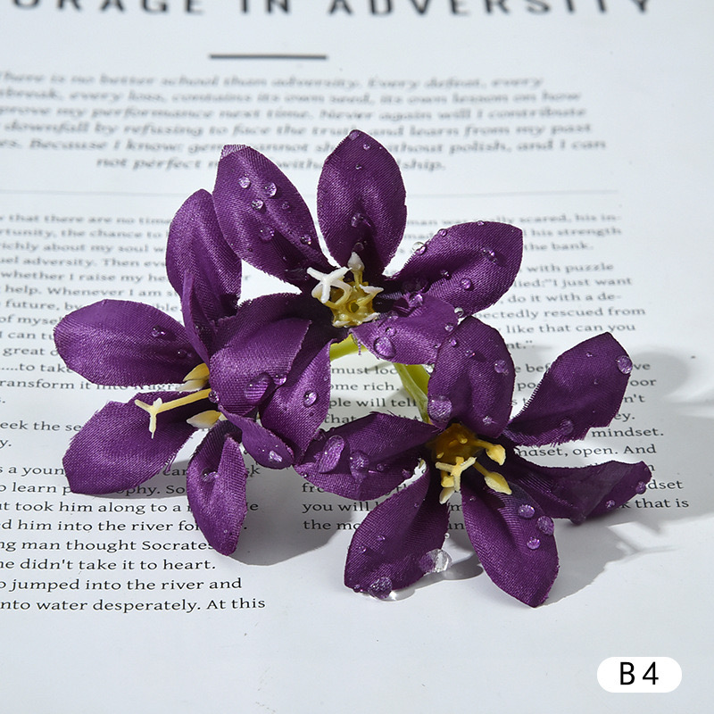 DEWDROP LILY FLOWER STEM