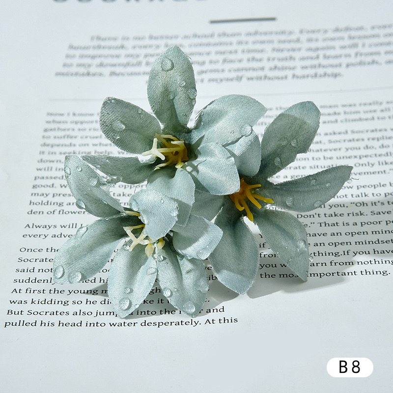 DEWDROP LILY FLOWER STEM