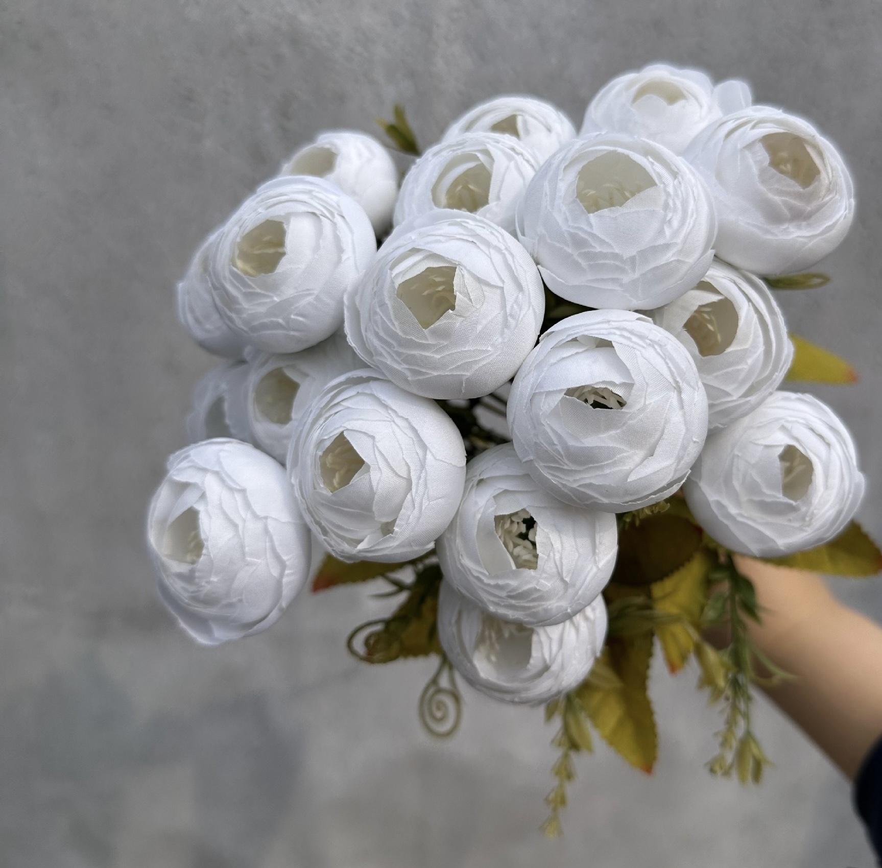 18 HEAD TEA ROSE / ROSE BUDS