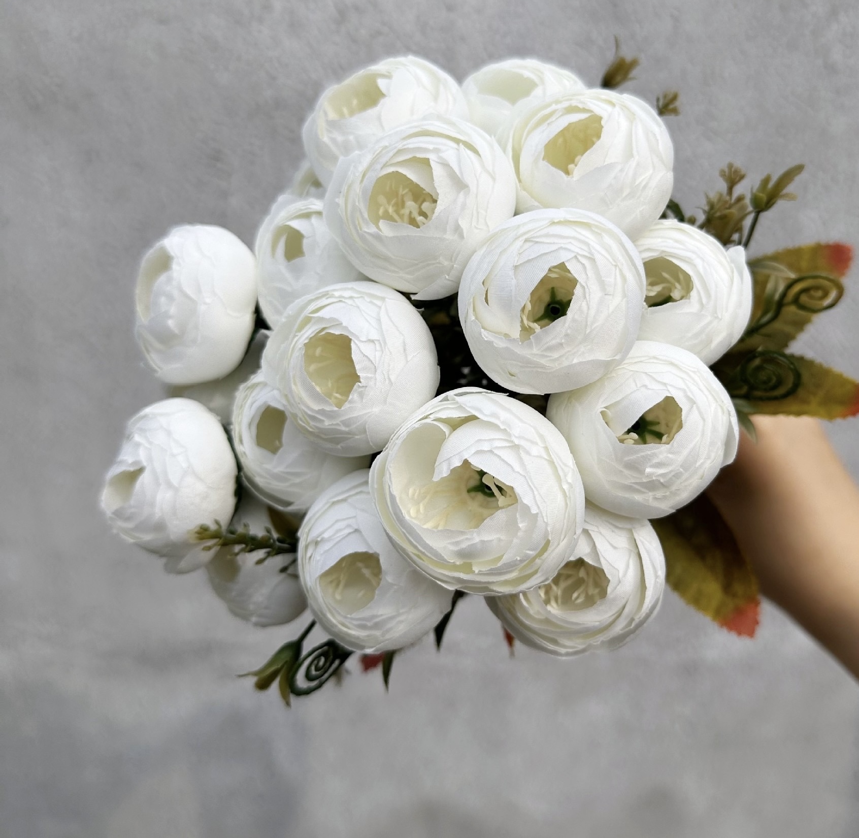 18 HEAD TEA ROSE / ROSE BUDS