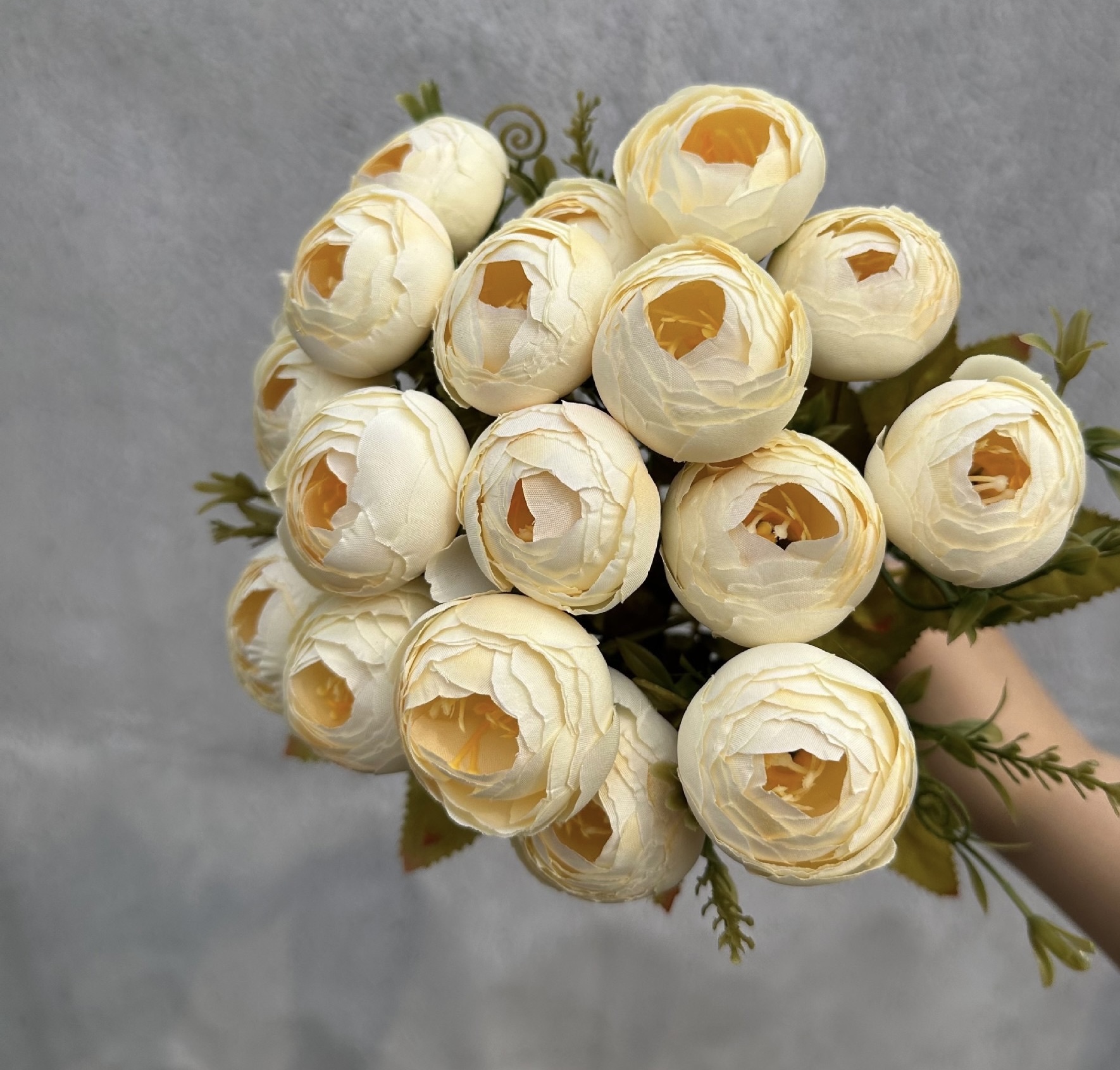 18 HEAD TEA ROSE / ROSE BUDS