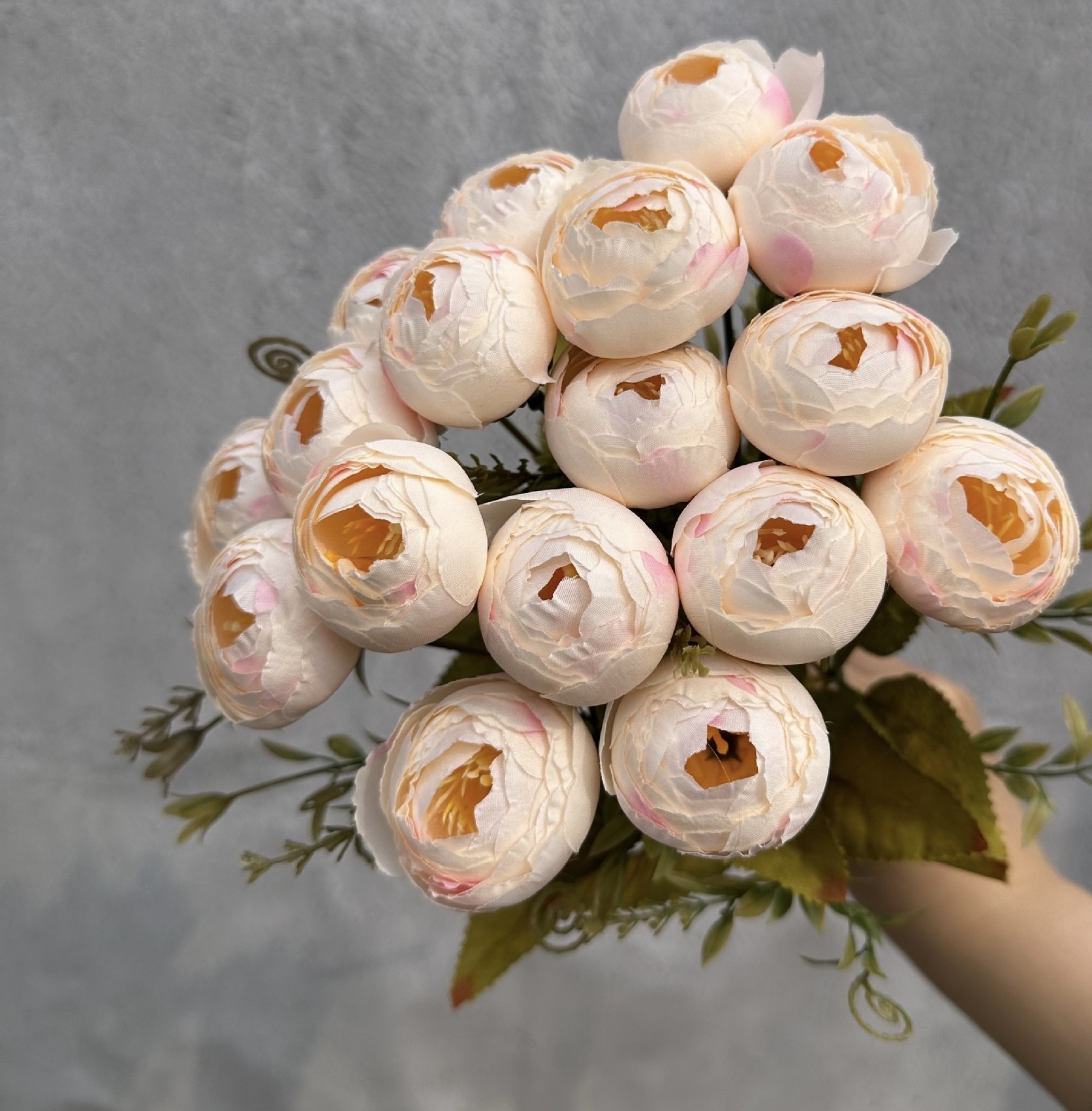 18 HEAD TEA ROSE / ROSE BUDS